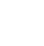 NOSE PIN